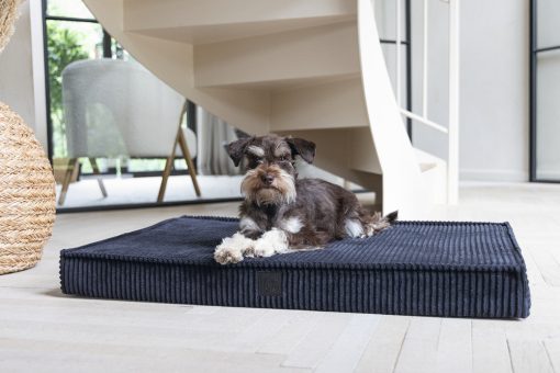 Designed by Lotte Geripptes - Orthopädisches Bankkissen - Anthrazit - Bild 9
