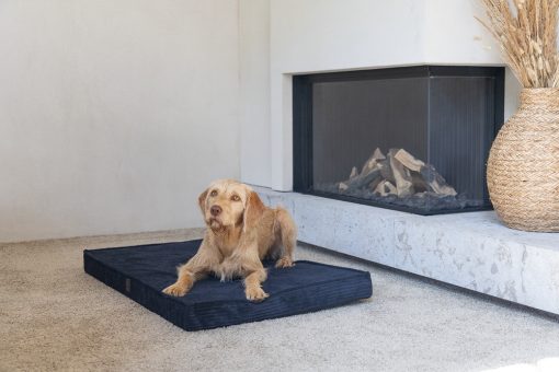 Designed by Lotte Geripptes - Orthopädisches Bankkissen - Anthrazit - Bild 6
