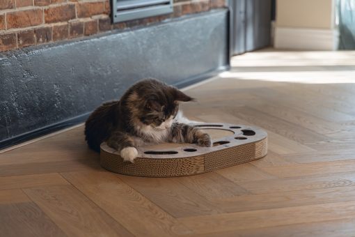 Designed by Lotte Meda - Cat toys - Cardboard - Beige - 58x35x6 cm - Image 5
